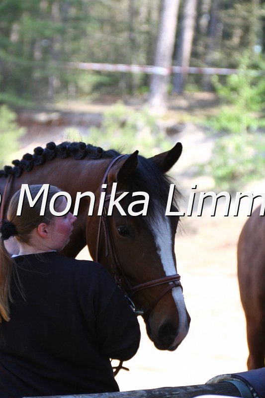 004M1565_Al Authentic Fire.JPG